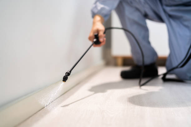 Professional exterminator conducting IPM assessment in Atkins